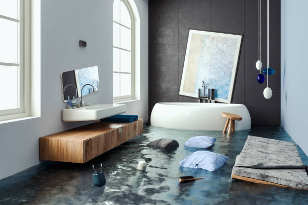 Best 24/7 water damage repair  in Shorewood, IL