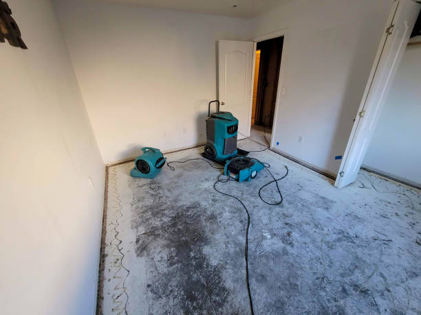  Shorewood, IL Water damage restoration Pros