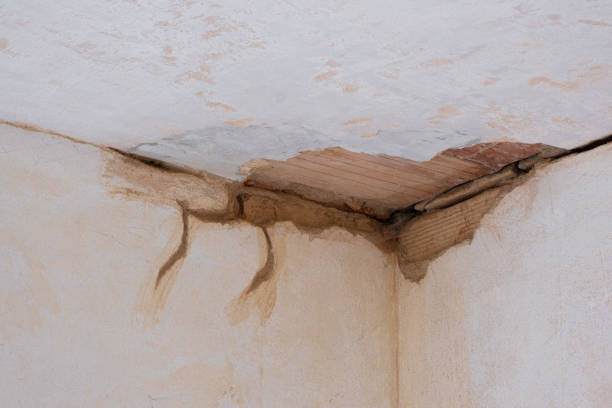 Best Professional water damage repair  in Shorewood, IL