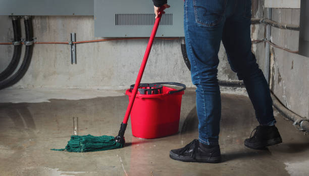 Best Water damage restoration company  in Shorewood, IL