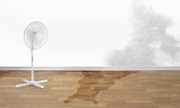Best Flooded house restoration  in Shorewood, IL
