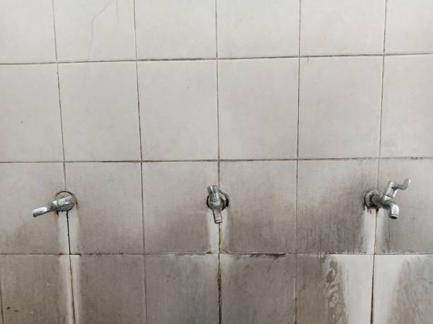 Best Water damage restoration near me  in Shorewood, IL
