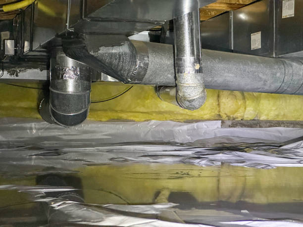 Best Ceiling water damage repair  in Shorewood, IL