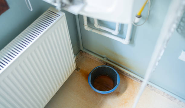 Best Fire Damage Restoration  in Shorewood, IL