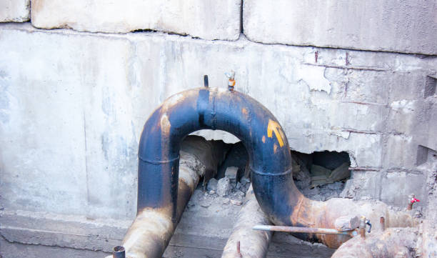 Best Ceiling water damage repair  in Shorewood, IL