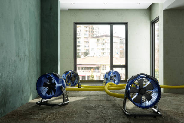 Best Water damage repair service  in Shorewood, IL