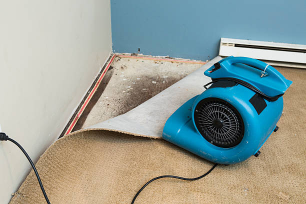 Best Water damage restoration process  in Shorewood, IL
